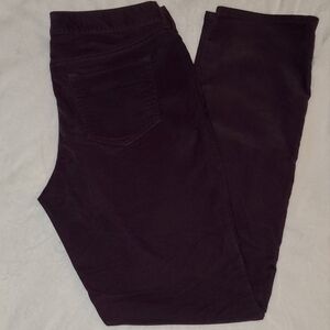 EDDIE Bauer Slightly Curvy Straight Leg Corduroy Pants Size 10